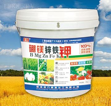 ���V�\�F�-����