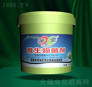 ΢�������-��ţ����