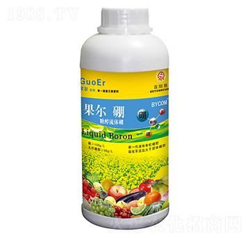 1000g�����Ǵ���