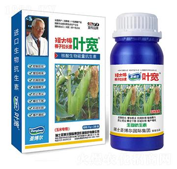 玉米專用葉面肥-多糖生物酶誘抗肽-葉寬-圣博爾生物
