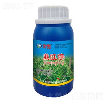 ����ͣ-�~��-ʥ��������