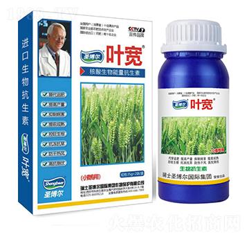 С����(zhu��n)���~���-��������ø�T����-�~��-ʥ��������