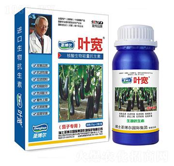 ���ӌ����~���-��������ø�T����-�~��-ʥ��������