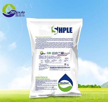 ���w���@-ʩ�՘�