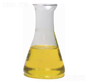 �ߝ�����w�Ǵ��}-���(y��ng)