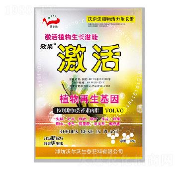 ֲ��������L��-����-������