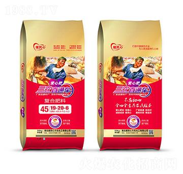 �ͺϷ���19-20-6-ů����