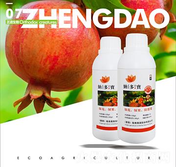 �~���-�{����-��������