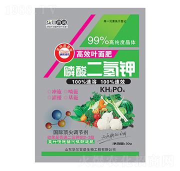 ���������~���-�A��