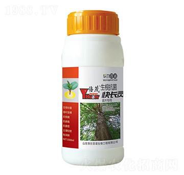 ��ľ���������������L(zh��ng)�`