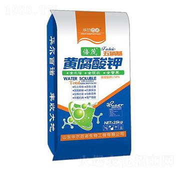 �������S�����-�A����