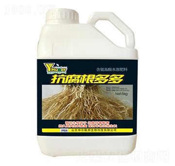 ���������-�A�����Z