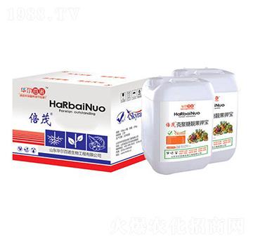 �������n��⛌�-�A����