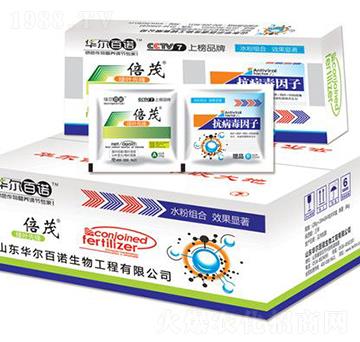 ����������-��ï-�A��