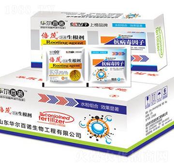 ������+���������ӣ�ˮ