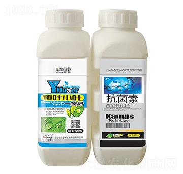 �S�~С�~һ���G+������