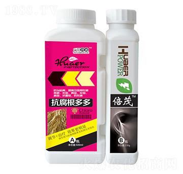 ���������+��ï-�A��