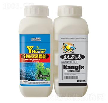 ������+������-�A����