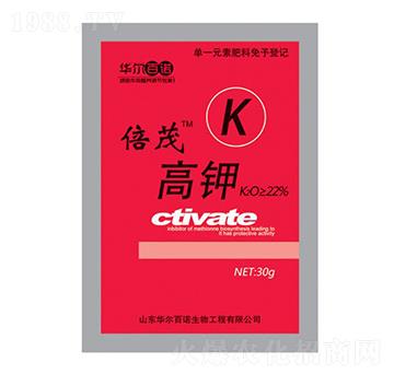 ��һԪ�ط�-��ï���-