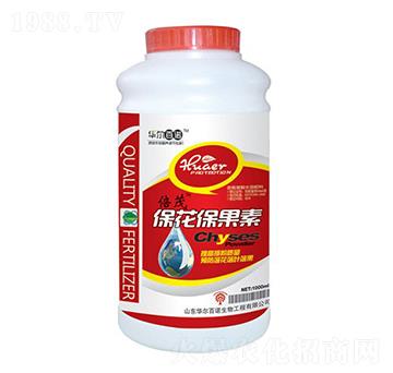 ����������-�A�����Z