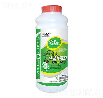 �������焩-�A�����Z