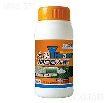 �����̦�����-�A����