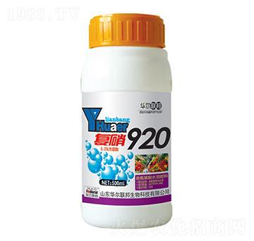 ��(f��)��920-�A�����Z