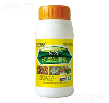 ����������-�A�����Z