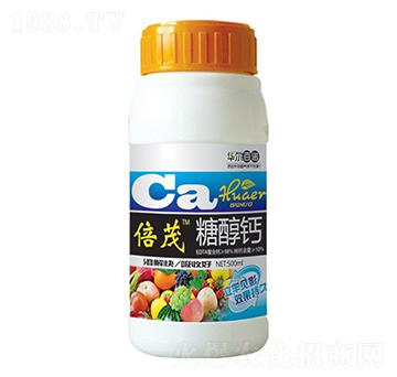 500ml�Ǵ��}-�A��