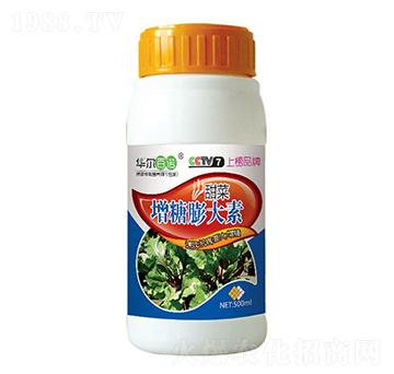 ��ˌ��É�?zh��)�����?�A