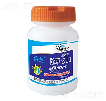 ��Ч��-���ݱؼ�-�A��