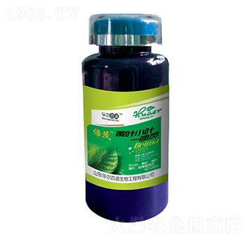 �S�~С�~һ���`-�A����