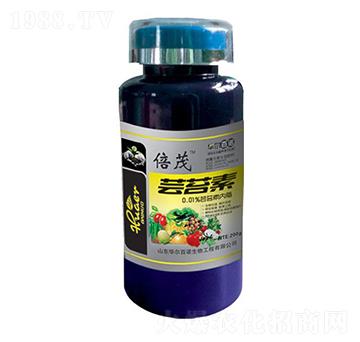 �|̦��-�A�����Z