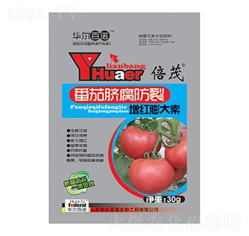 ����Ě�����щ��t�����