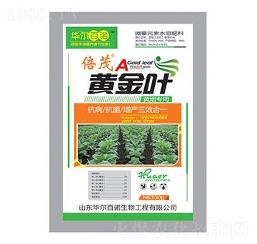 �S�������~���-�S���~