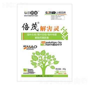 40g�⺦�`-�A�����Z