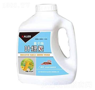 �~�G��-����ø-��(l��)�r(n��ng)�I(y��)