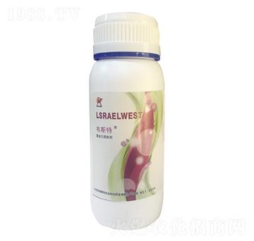 ���x(ch��ng)���T��-�f˹��-��(l��)�r(n��ng)�I(y��)