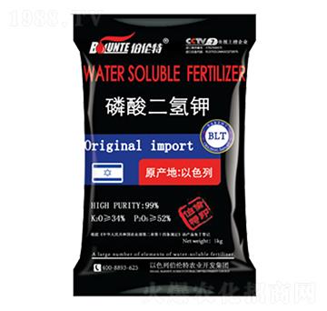 ��������-�ֲ���