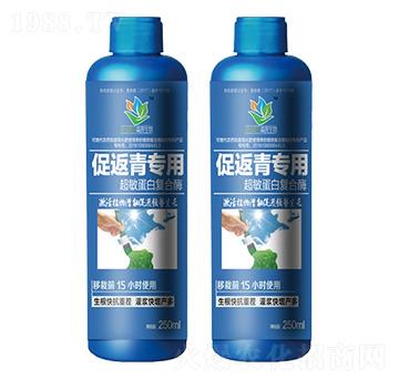 �ٷ������ó������׏�(f��)��ø-ɭ�w����