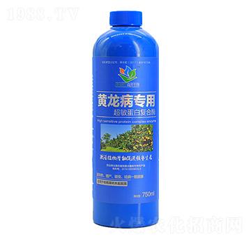 �S�������ó������׏�(f��)��ø���܄���-ɭ�w����