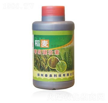 ����������-��Ȫ