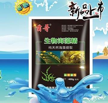 ���ﺣ�徫-����