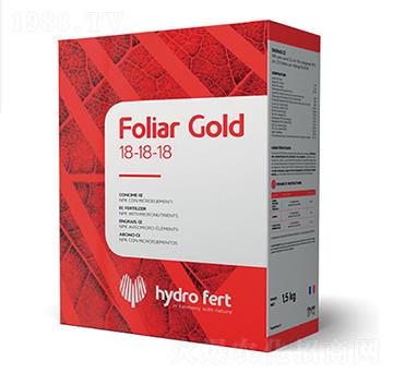 �����m�١���-�������