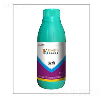 ����̼���-���L