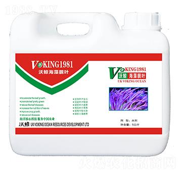 �����n�~-���L