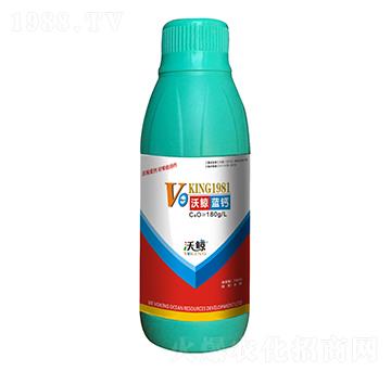 ���L�{�}-���L