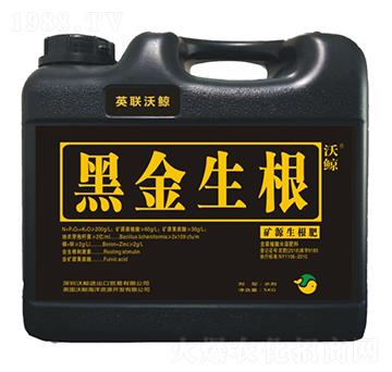 �VԴ�S�����(f��)��������-�ڽ�����-���L