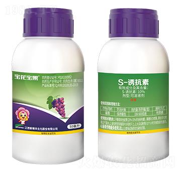 10%S-�T����-��������-�����S