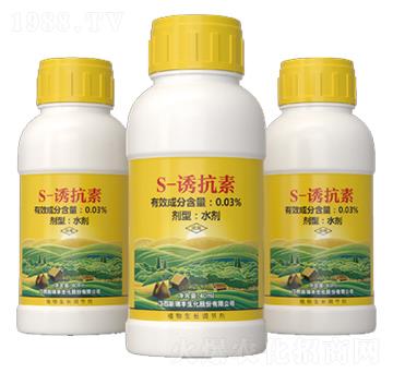 S-�T����-�����S